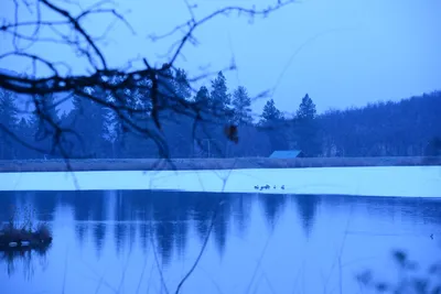 DSC_1124 (Large).JPG